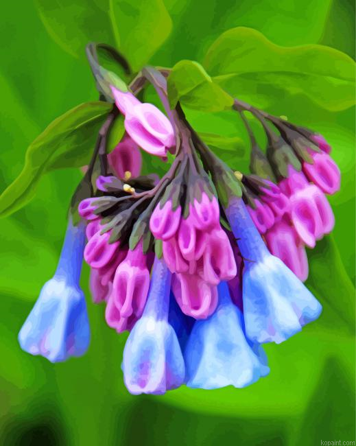 Virginia Bluebell Flowers Painting By Numberss.png