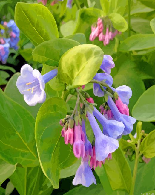 Virginia Bluebells Painting By Numberss.png