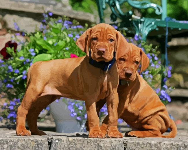 Vizsla Puppies Painting By Numberss.png
