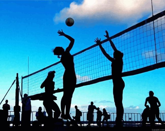 Volleyball Players Silhouette Paint By Numbers