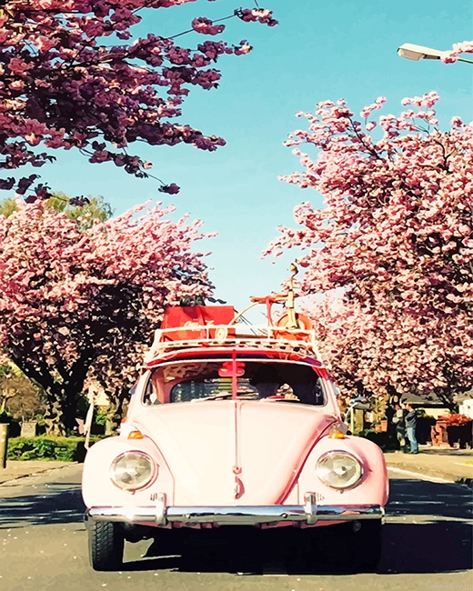 Wv Beetle And Cherry Blossom New Painting By Numberss.png