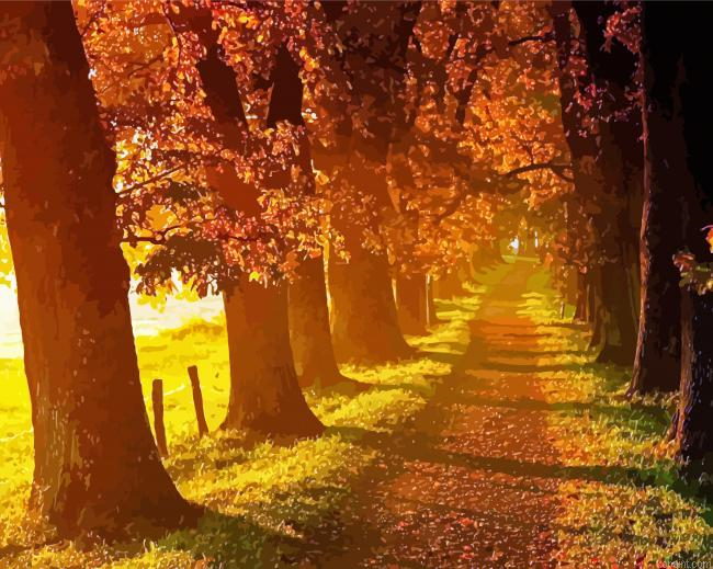 Walk In Autumn Painting By Numberss.png