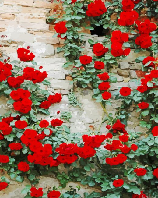 Wall Of Red Roses Painting By Numberss.png