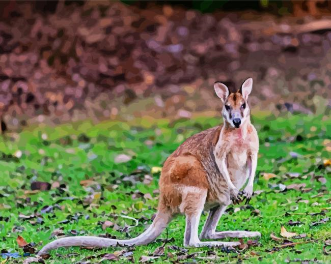 Wallaby Animal Paint By Numbers