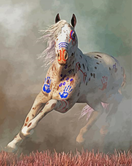 Warrior Appaloosa Horse Painting By Numberss.png