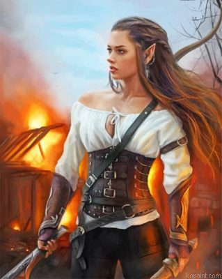 Warrior Elf Woman Painting By Numberss.png