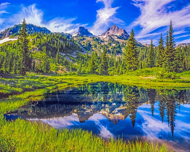 Washington Nature New Painting By Numberss.png