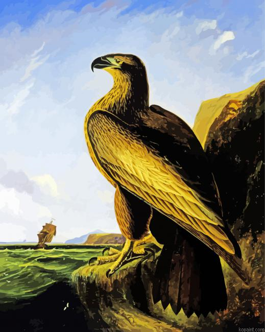 Washington Sea Eagle By John James Audubon Painting By Numberss.png
