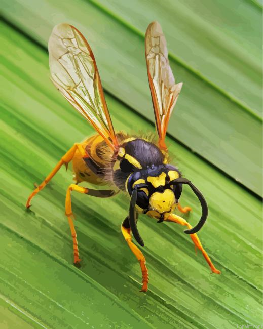 Wasp Insect Painting By Numberss.png