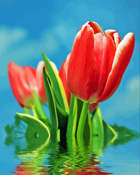 Water And Red Tulips Flowers Painting By Numberss.png
