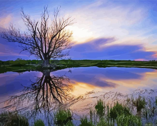 Water And Trees At Sunset Paint By Numbers