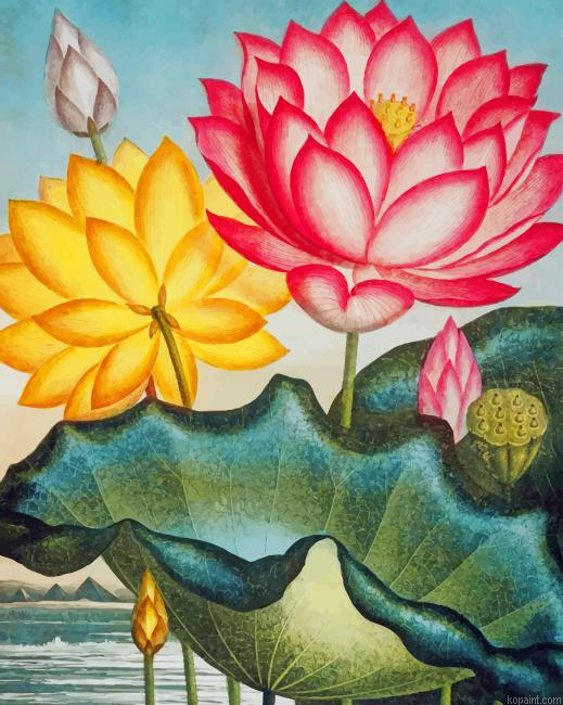 Water Lily Art Painting By Numberss.png