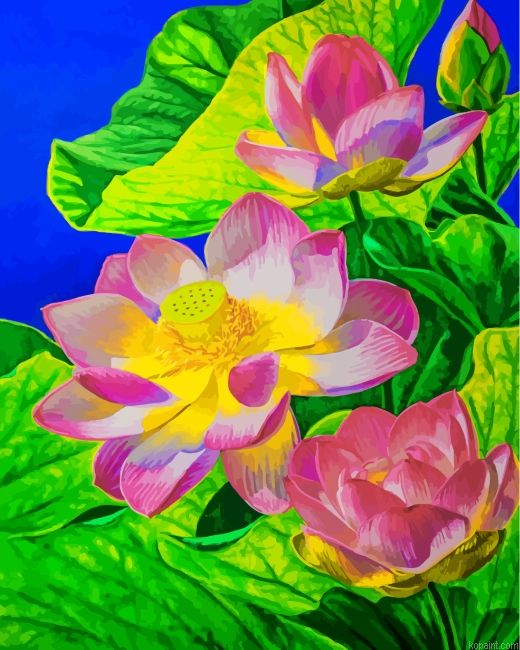 Water Lily Painting By Numberss.png