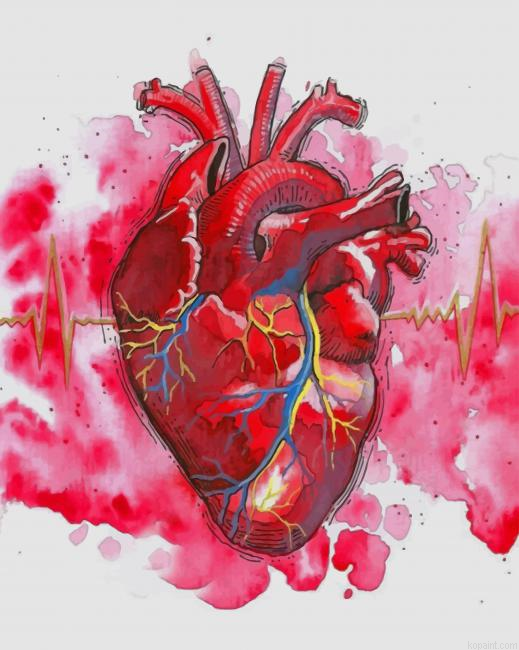 Watercolor Human Heart New Painting By Numberss.png