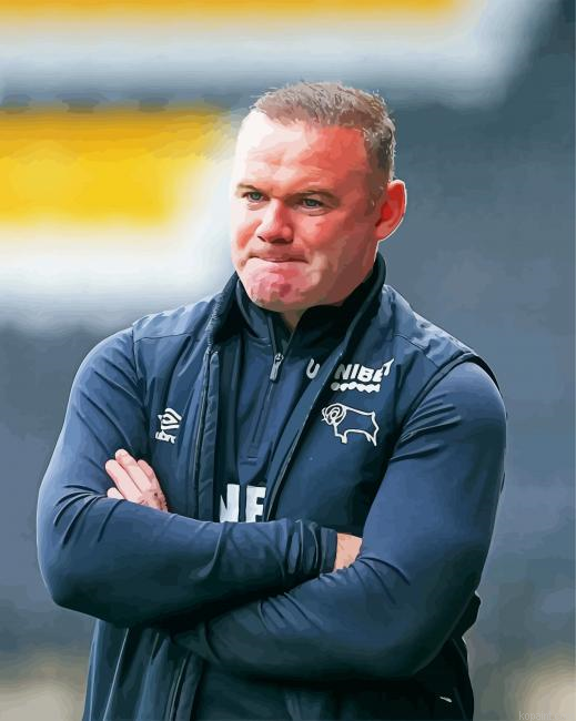 Wayne Rooney Football Manager Painting By Numberss.png