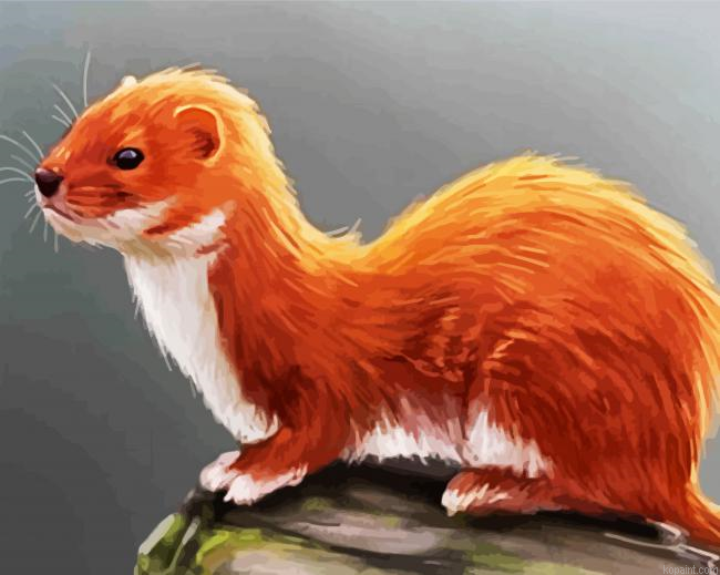 Weasel Paint By Numbers.png