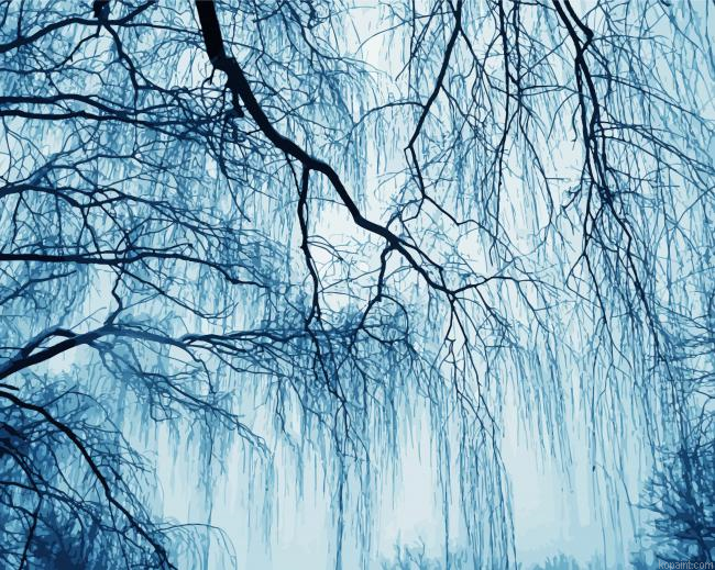 Weeping Willow In Winter Painting By Numberss.png
