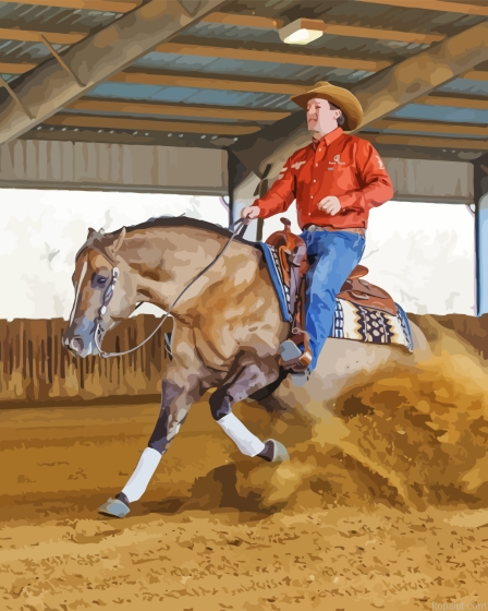 Western Reining Horse Paint By Numbers