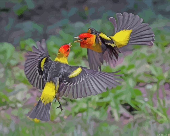 Western Tanager Birds Painting By Numberss.png