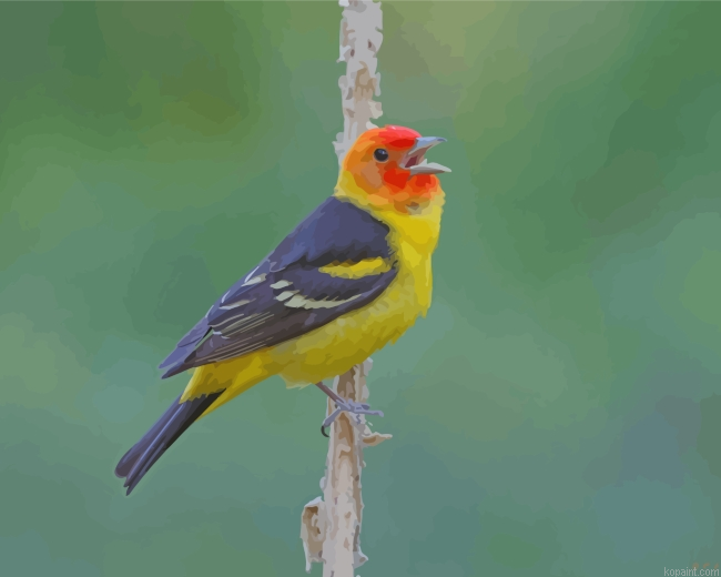 Western Tanager On Stick Painting By Numberss.png