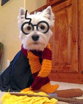 Westie Potter Painting By Numberss.png