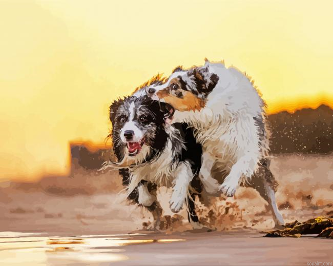 Wet Collies Painting By Numberss.png