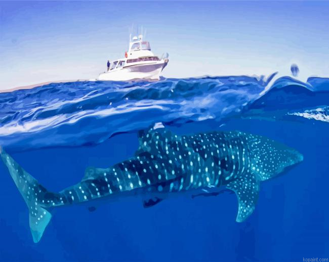 Whale Shark Under Boat Painting By Numberss.png