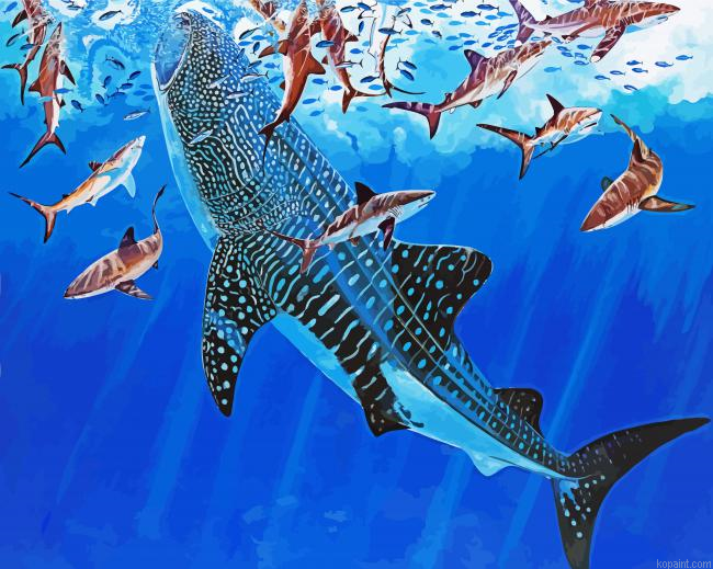 Whale Shark Underwater Painting By Numberss.png