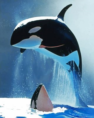 Whales Painting By Numberss.png