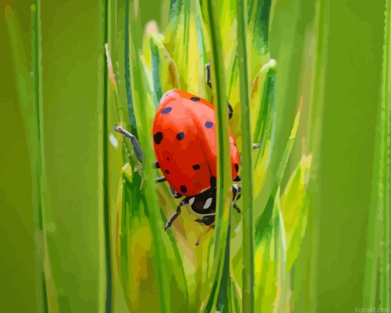 Wheat And Ladybug Painting By Numberss.png