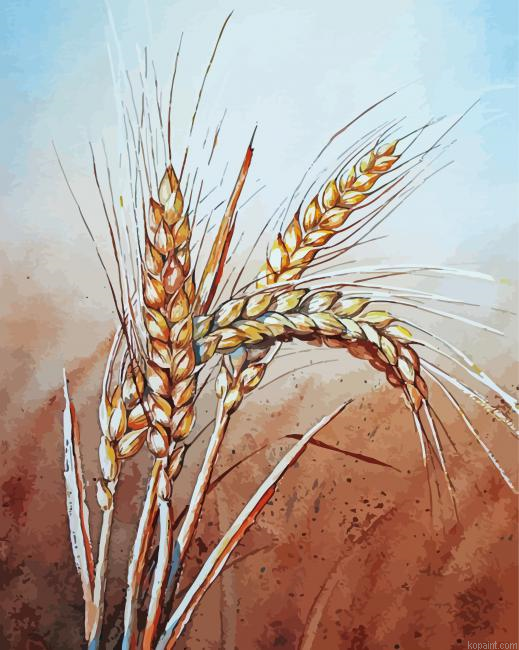 Wheat Stalk Painting By Numberss.png