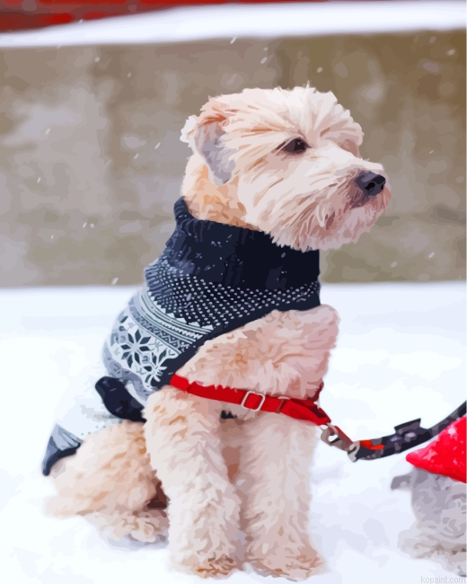Wheaten Terrier Painting By Numberss.png