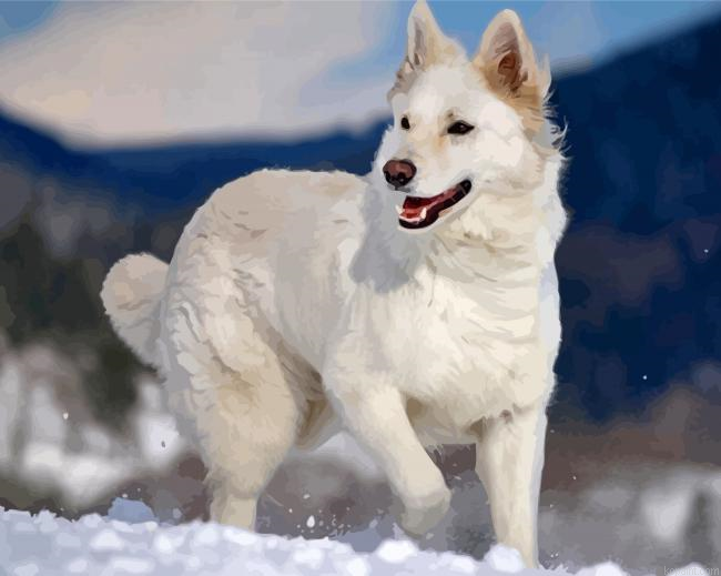 White Alsation Painting By Numberss.png