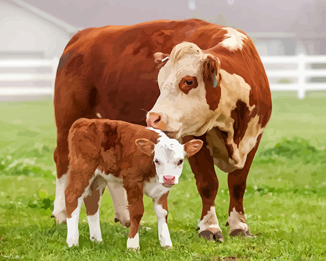 White And Brown Cows Painting By Numberss.png