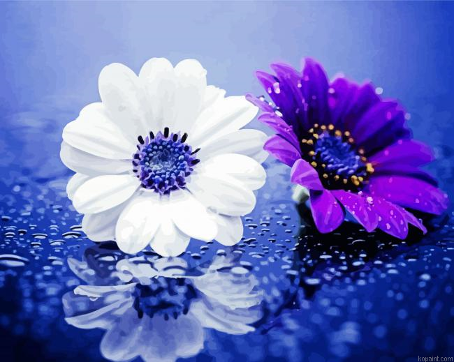 White And Purple Daisy Raindrop Painting By Numberss.png