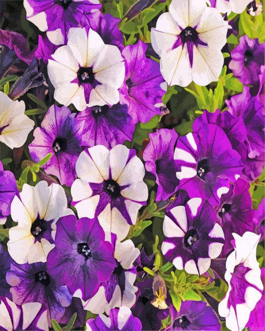 White And Purple Petunia Painting By Numberss.png