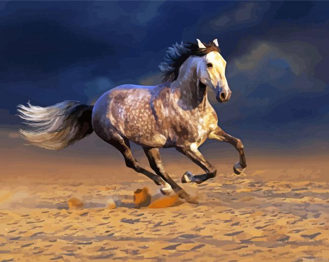 White Andalusian Horse In The Desert Painting By Numberss.png
