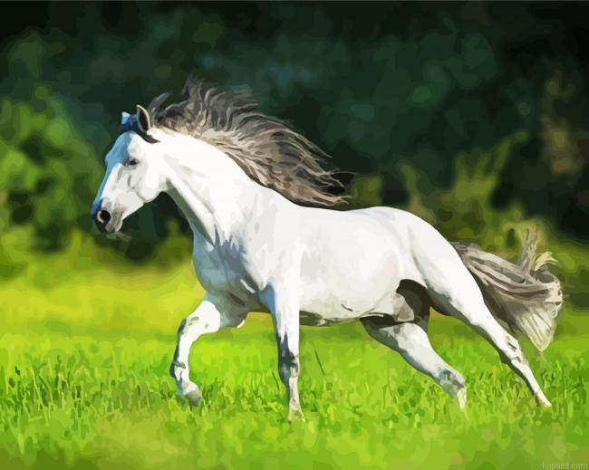 White Andalusian Horse Running Painting By Numberss.png