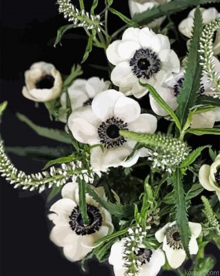 White Anemone Painting By Numberss.png