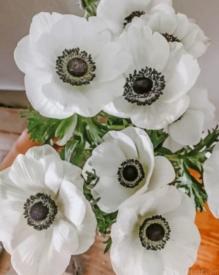 White Anemone Plants Painting By Numberss.png