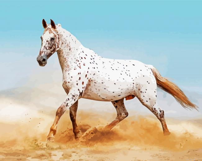 White Appaloosa Painting By Numberss.png
