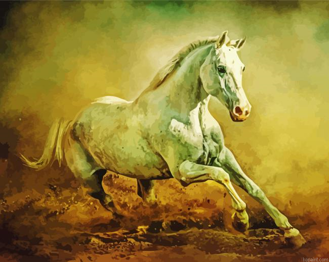 White Arabian Horse Running Painting By Numberss.png