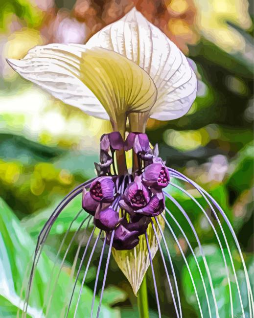 White Bat Flowers Painting By Numberss.png