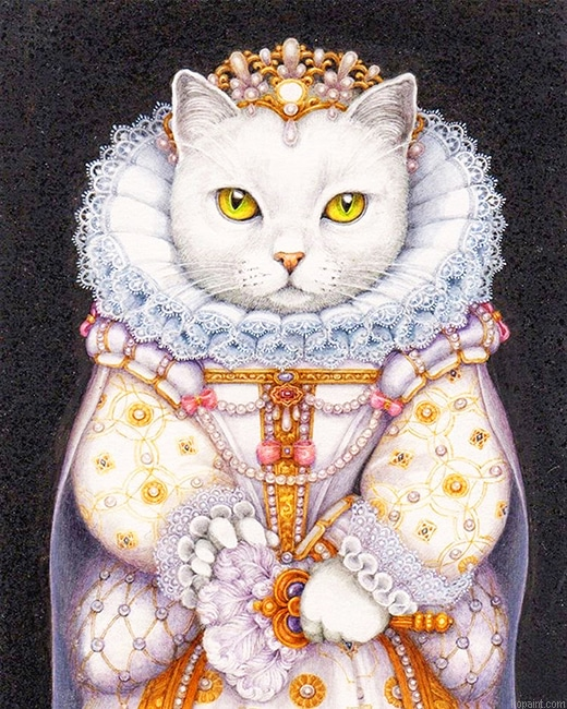White Beautiful Cat New Painting By Numberss.png