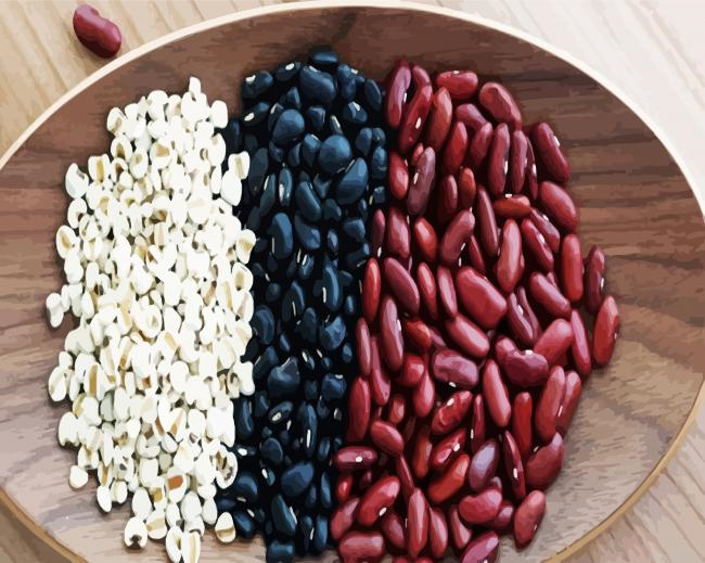 White Black And Red Beans Paint By Numbers.png