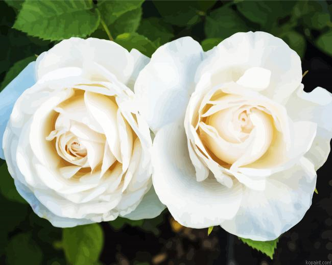 White Blooming Floribunda Flower Painting By Numberss.png