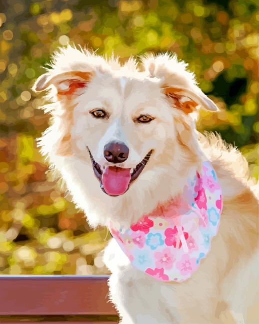 White Border Collie Dog Painting By Numberss.png