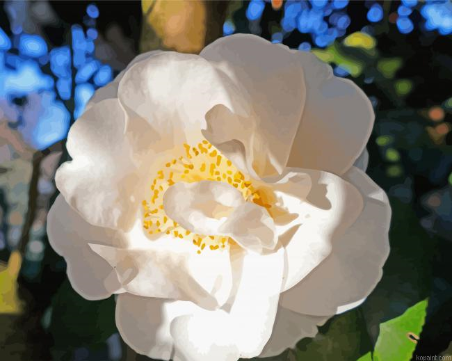 White Camellia Flower Painting By Numberss.png