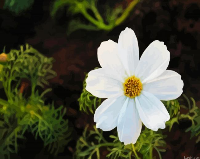 White Cosmos Flower Paint By Numbers.png