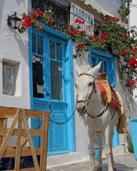 White Donkey In Greece New Painting By Numberss.png